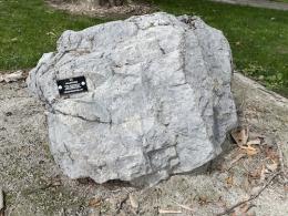 Large grey rock with a black tag attached.