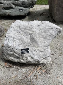 Large white rock with a black tag on it.