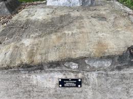 Flat light-grey rock with striations and a black tag beneath