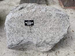 Large grey rock with a black tag on it.