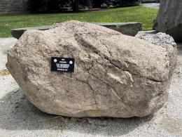 Large tan rock with a black tag attached.