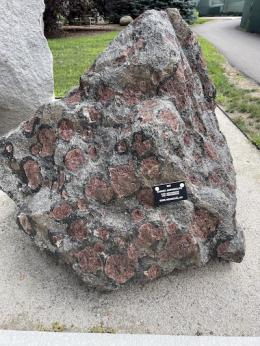 Large irregular grey rock with many purplish marks and a black tag attached.