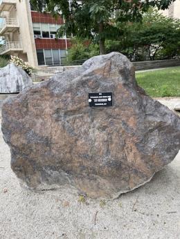 Multi-colored large rock with a black tag attached.