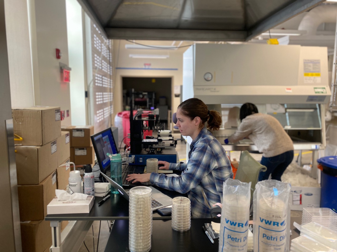 postdoc working in a lab